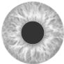 Color variant
